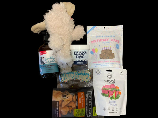 Premium dog gift box with toys, treats, dog shampoo, and birthday cookie, Pawsome Pooch Parcels