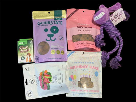 Pawsome Pooch Parcels premium dog gift box with gourmet treats and purple dog toy