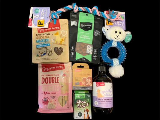 Premium dog gift box with treats, toys, shampoo, and puppy essentials from Pawsome Pooch Parcels