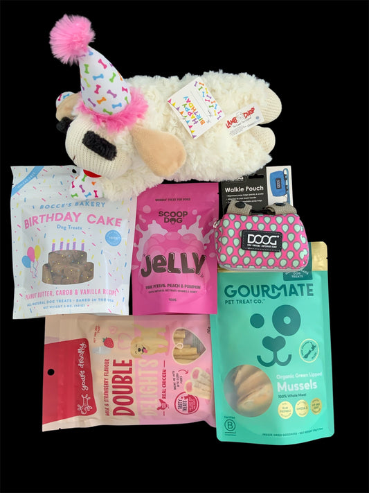 girl dog barkday gift box NZ
