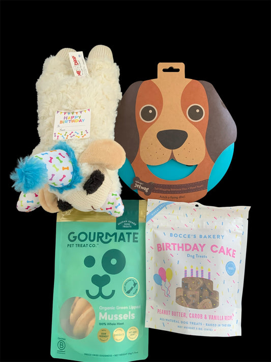 blue dog birthday gift box NZ barkday box