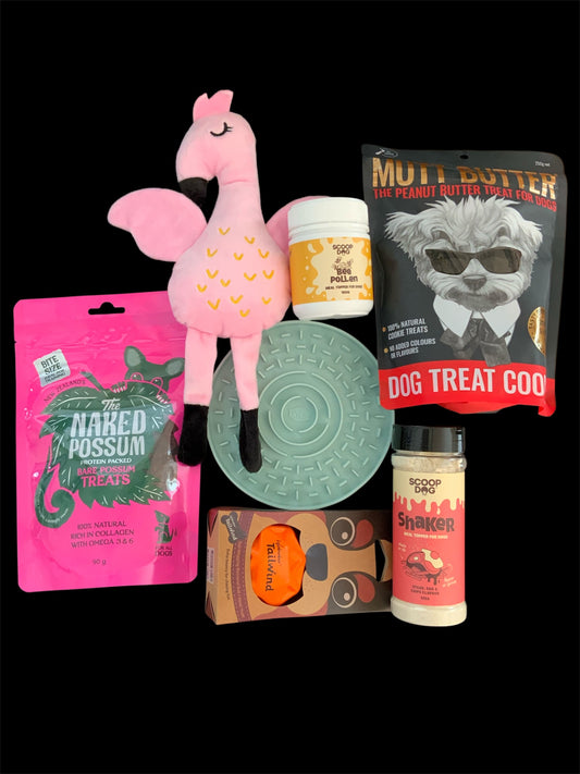 Pawsome Pooch Parcels Get Well Soon Box — THe Naked Possum treats, Scoop Dog meal toppers, Mutt Butter cookies, soft plush toy and gentle recovery items for unwell dogs