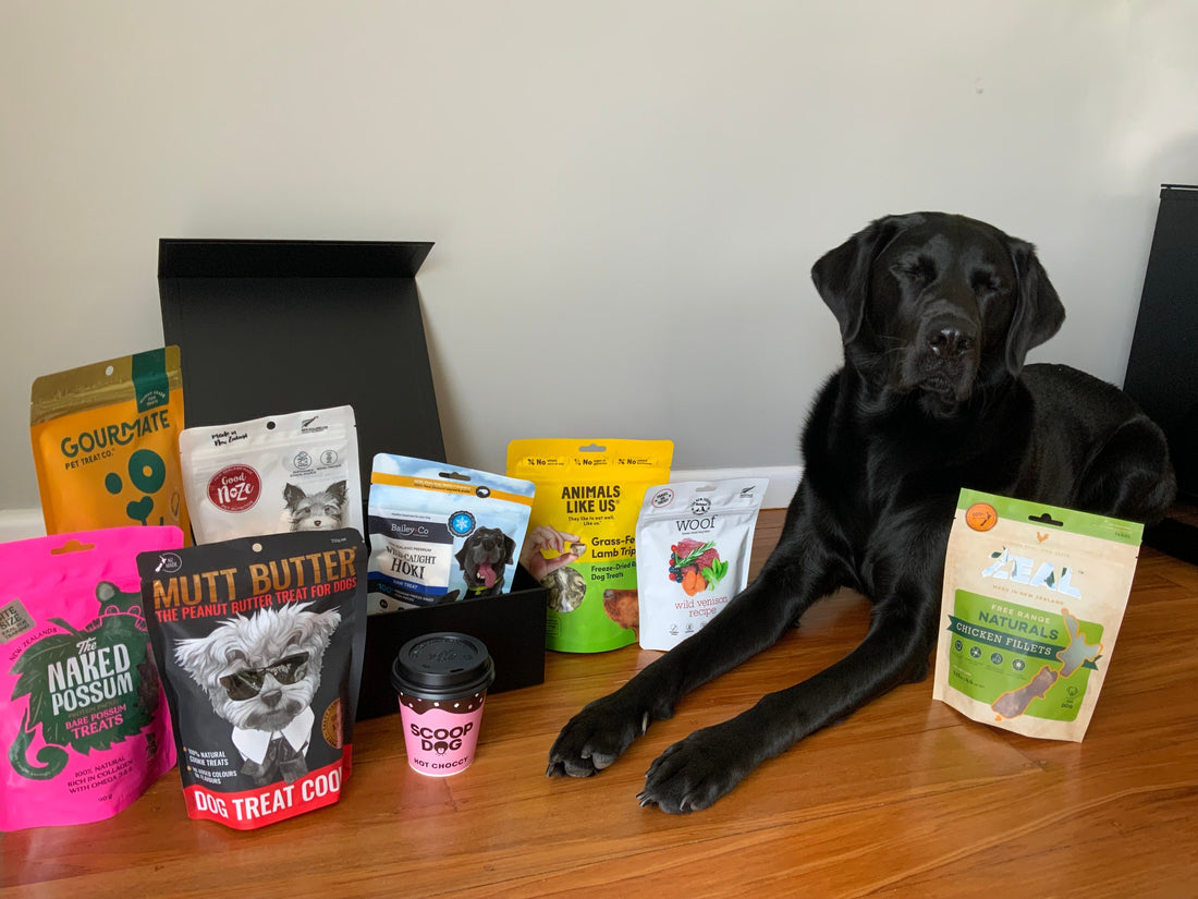 Dog Presents Guide: The Complete Guide for Every Occasion