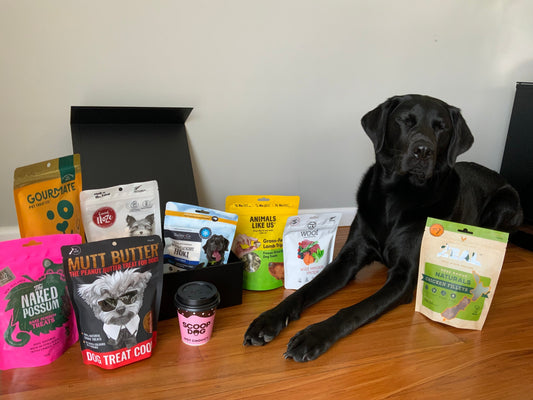 Dog Presents Guide: The Complete Guide for Every Occasion
