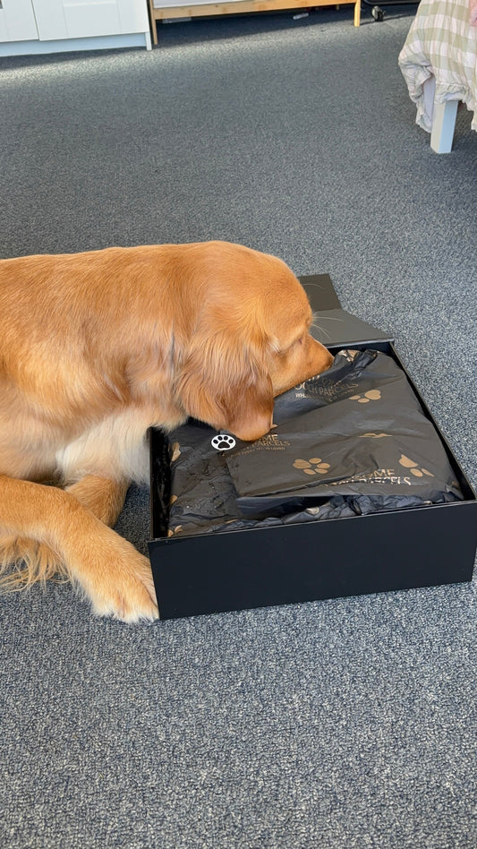 The Ultimate Dog Presents Guide