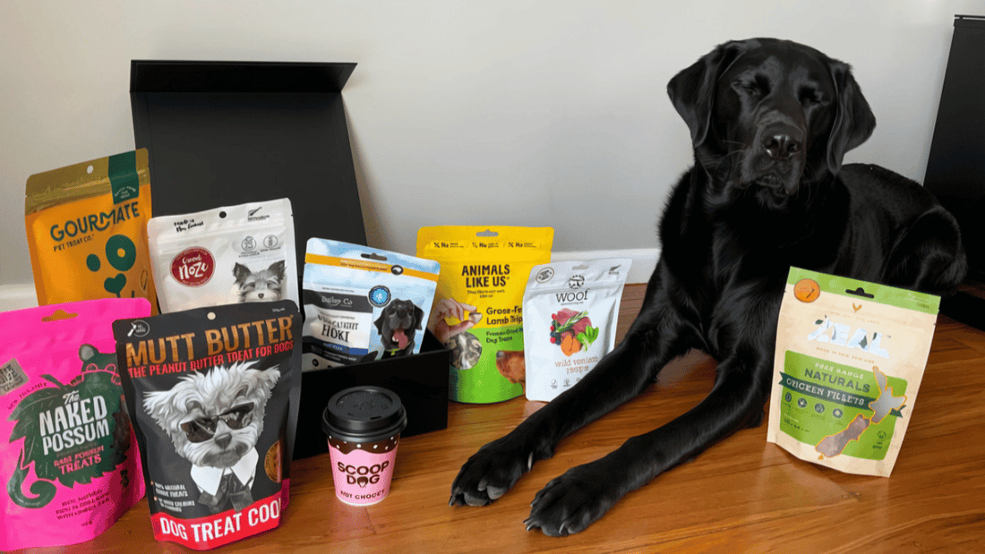 The Best NZ-Made Dog Treats, Toys and Products