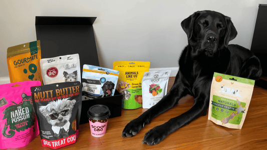 The Best NZ-Made Dog Treats, Toys and Products