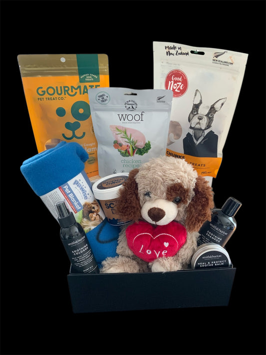 Feel Better, Furry Friend