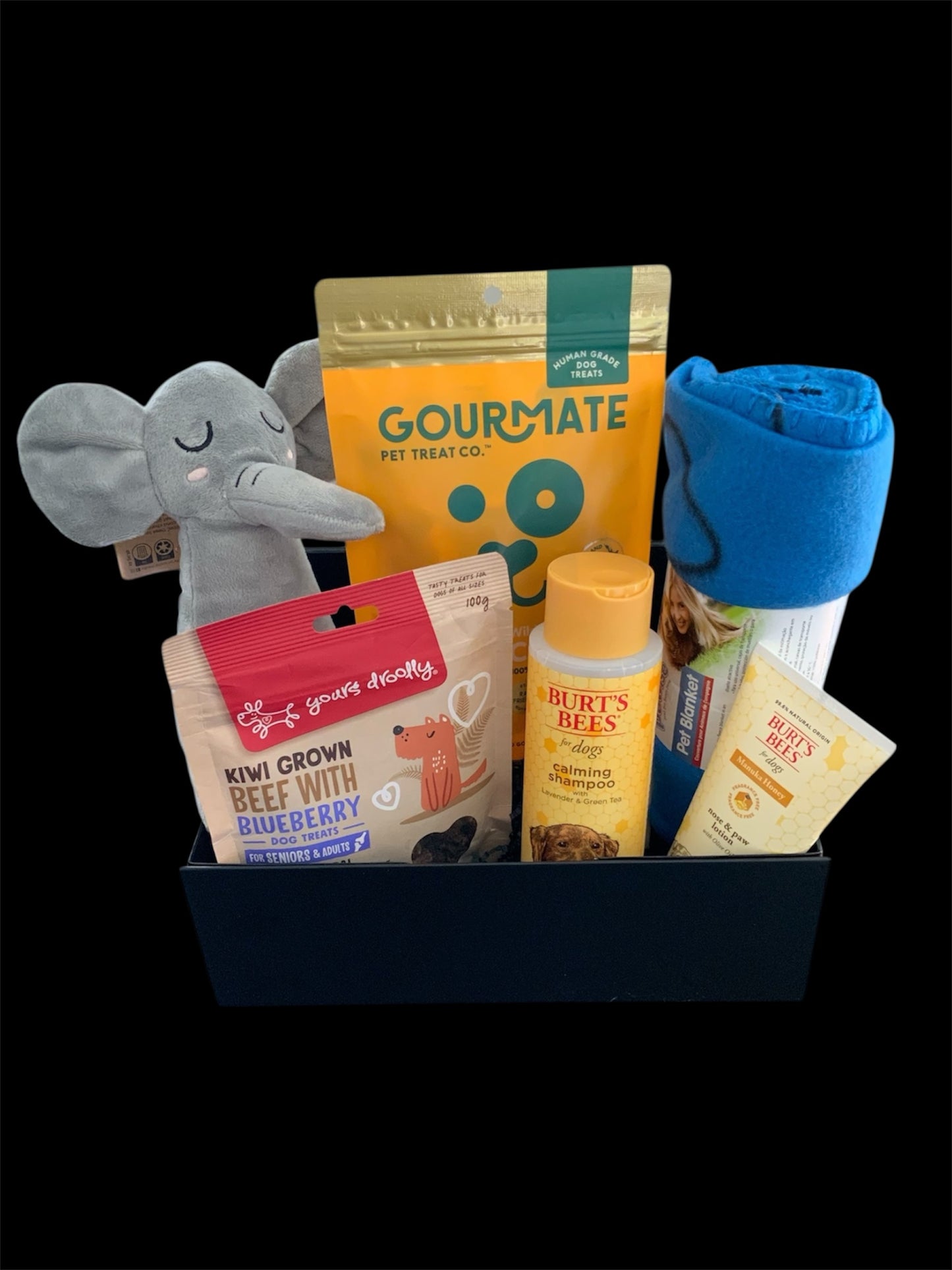 Paw-sitively Healing