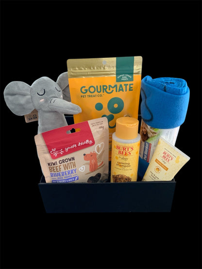 Paw-sitively Healing