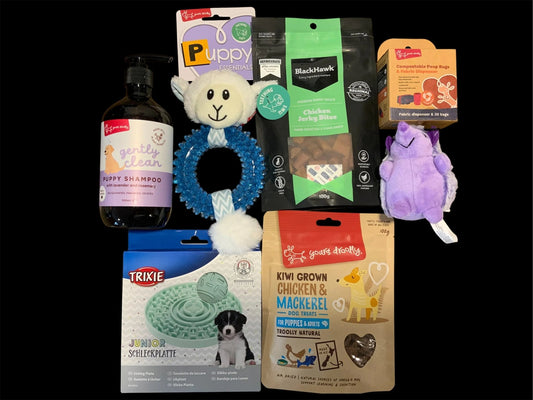 Explore and Play - Pawsome Pooch Parcels