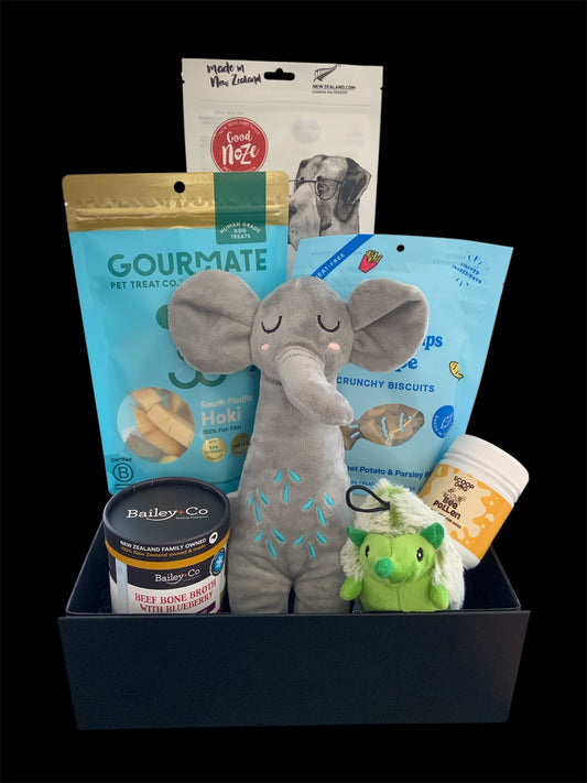 dog gift box with treats and toy