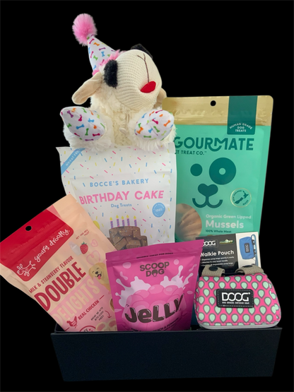 pink dog birthday gift box with treats and plush toy