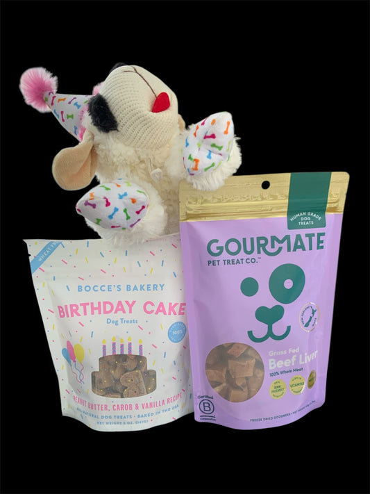dog birthday gift box with treats and toy