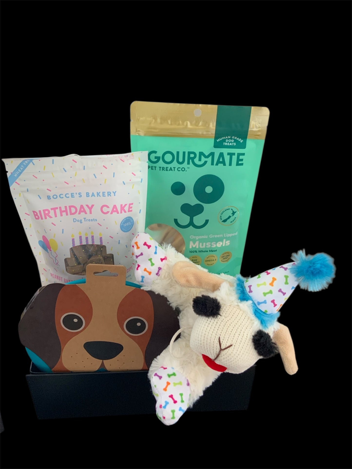 boy dog birthday gift box with treats and toy