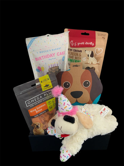girl dog birthday gift box with treats and toy