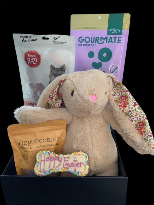 Some Bunny Loves You