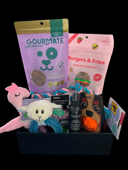 Dog gift box with natural treats, rope toy, plush toys and grooming spray