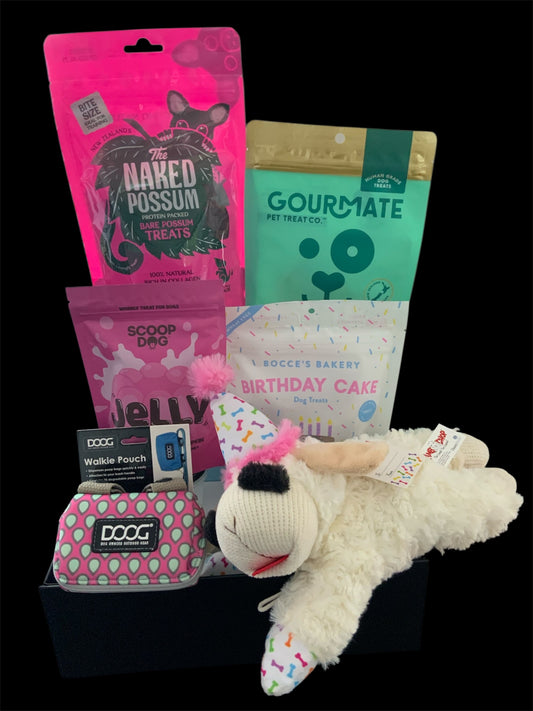 Pawty Girl Barkday