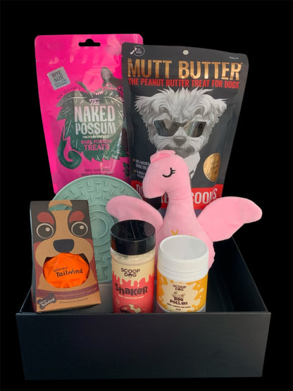 Pawsome Pooch Parcels Get Well Soon Box — THe Naked Possum treats, Scoop Dog meal toppers, Mutt Butter cookies, soft plush toy and gentle recovery items for unwell dogs