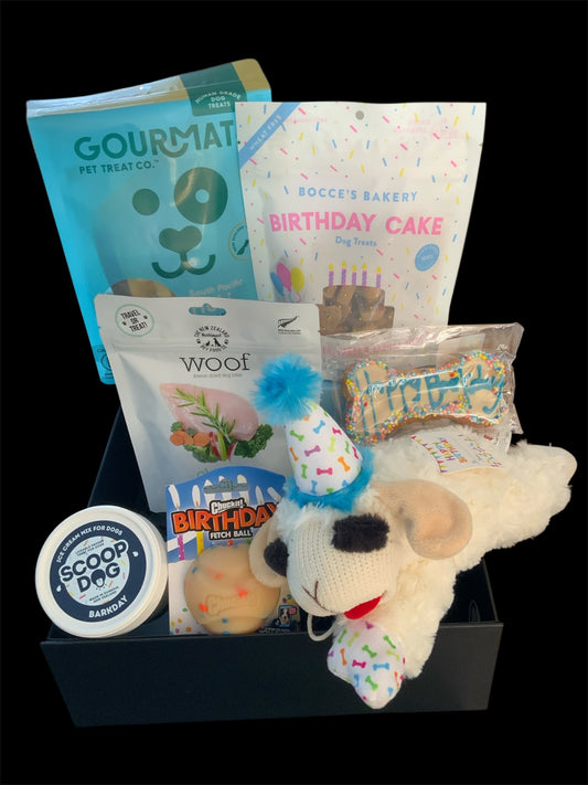 Mr Barkday Bash