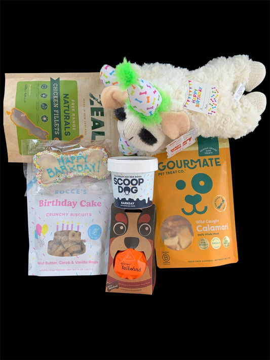 Mr Happy Barkday